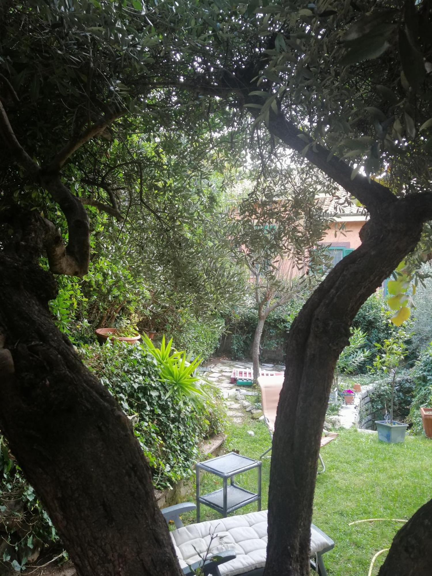 Home Shanti Grottaferrata Buitenkant foto